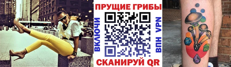 KRAKEN ТОР  Таруса  Галлюциногенные грибы мухоморы  что такое  
